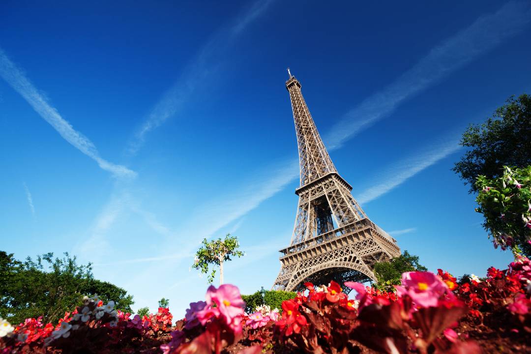 Paris Private Day Tour with Driver Guide