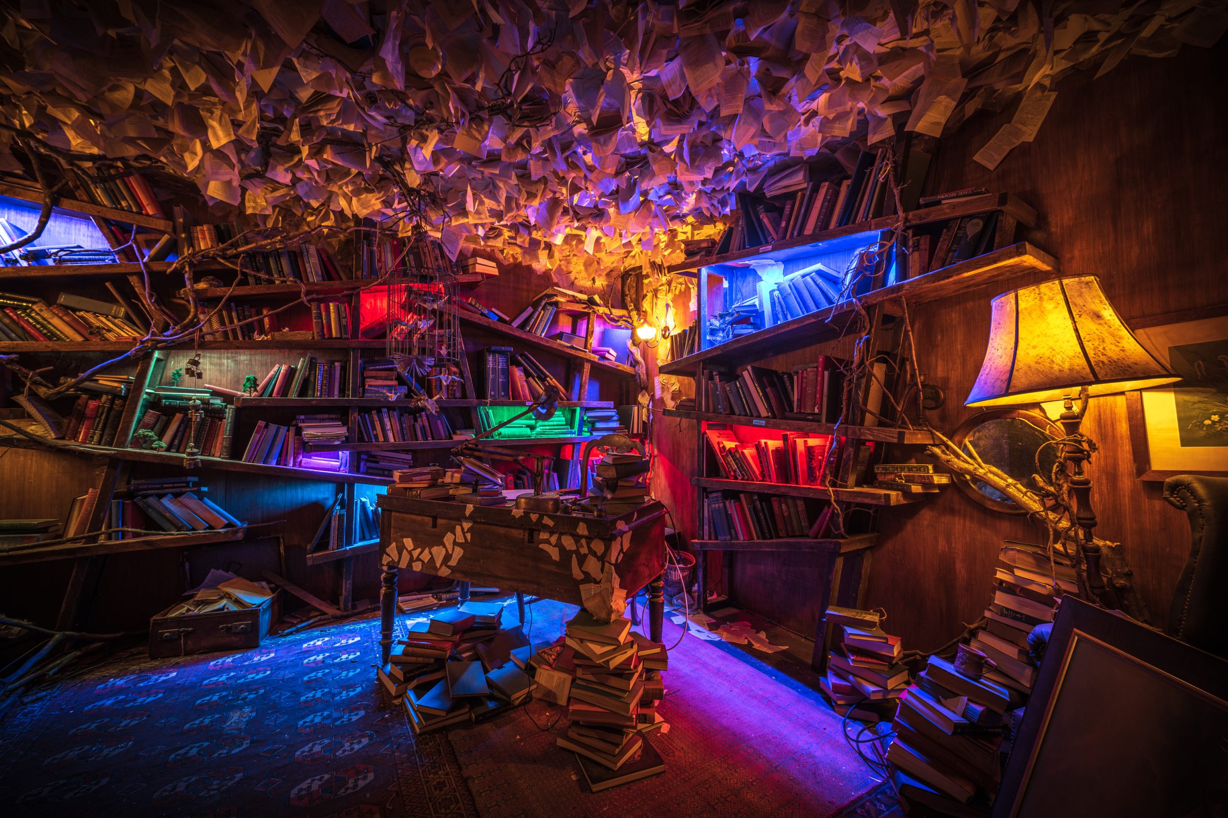 Wake The Tiger: Immersive art experience