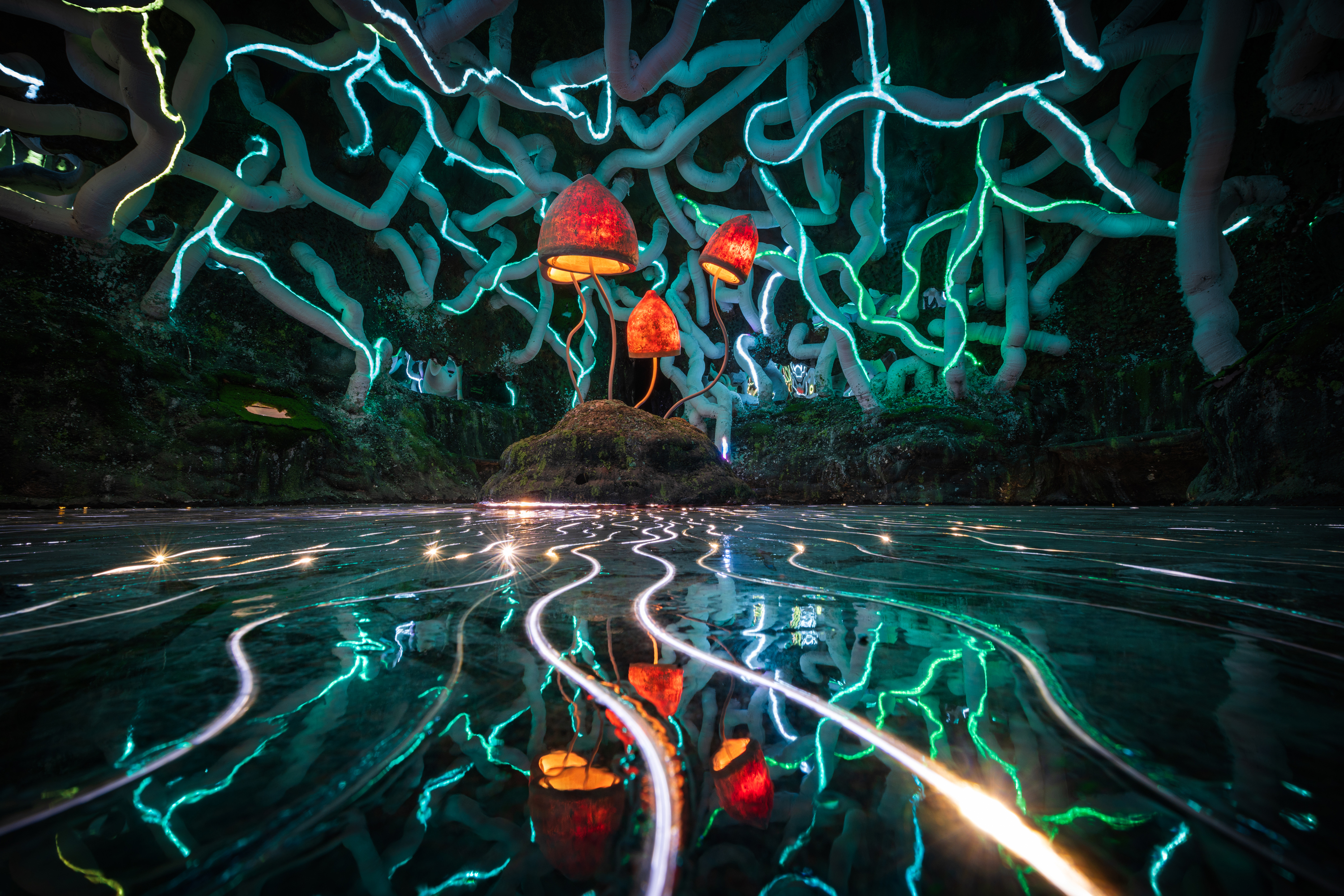 Wake The Tiger: Immersive art experience