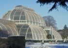 Kew Gardens