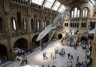 Natural History Museum