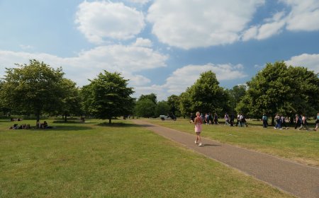 Take a walk in Hyde Park