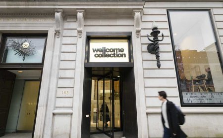 Discover the Wellcome Collection
