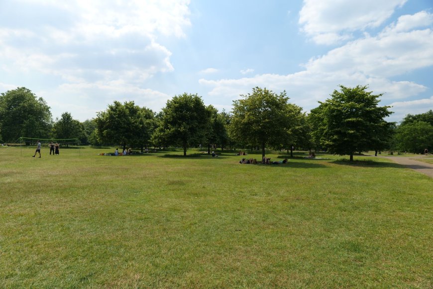 Take a walk in Hyde Park