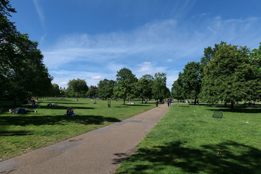 Take a walk in Hyde Park
