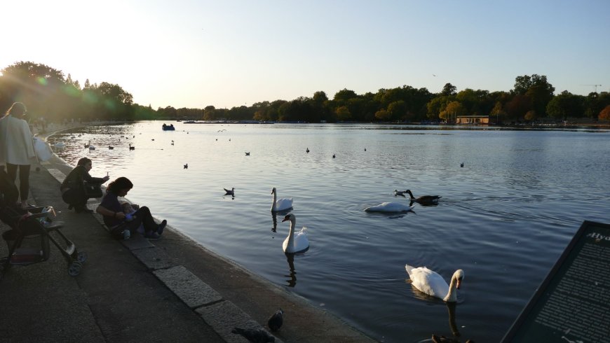 Take a walk in Hyde Park