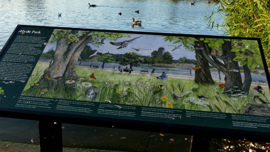 Take a walk in Hyde Park