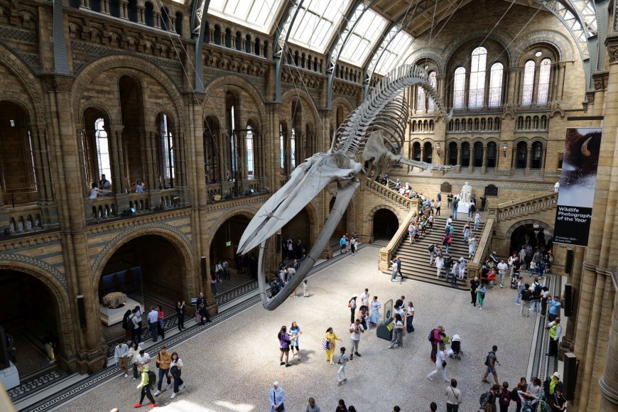 Natural History Museum