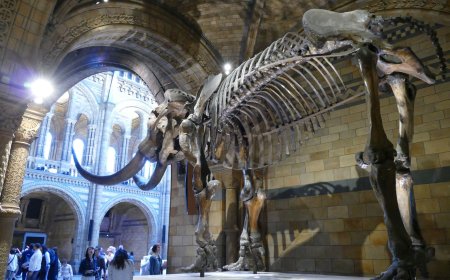 3-day family-friendly London trip itinerary