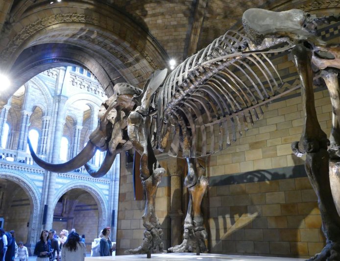 3-day family-friendly London trip itinerary