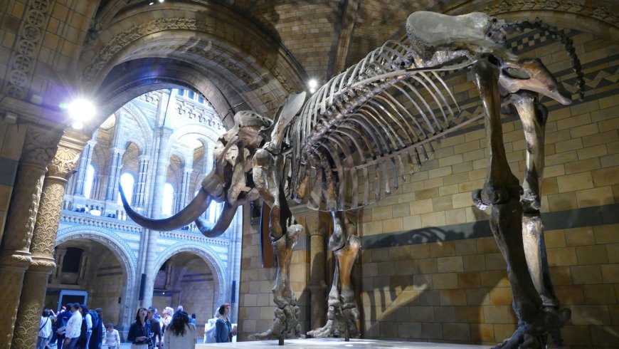 3-day family-friendly London trip itinerary