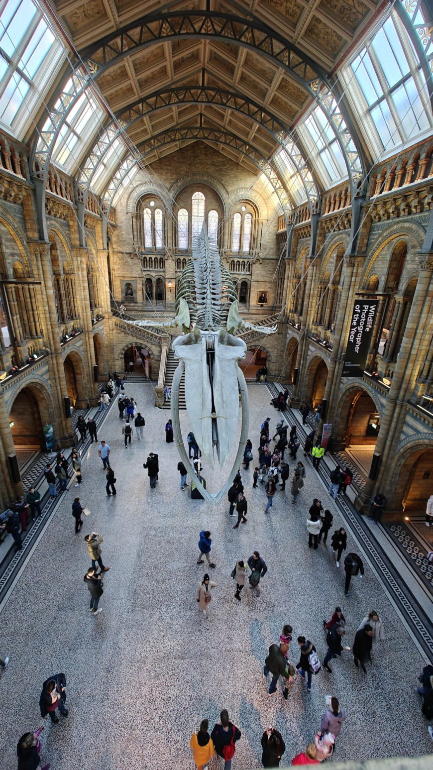 Natural History Museum